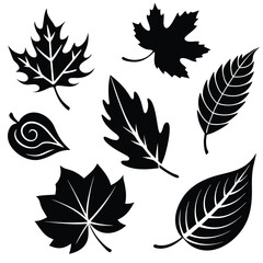 Fototapeta premium Black silhouettes of various autumn leaves on white background 1