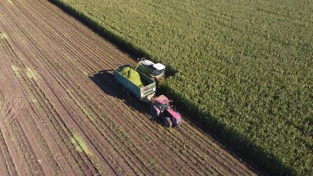 Aerial view of a tractor and forage harvester working together to harvest a large green crop in a rural farmland field. The machinery moves in tandem, cutting and collecting the plants with precision