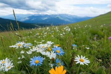 A Vibrant Meadow Filled with Colorful Wildflowers Under a Dramatic Sky Surrounded by Majestic Mountains in the Background