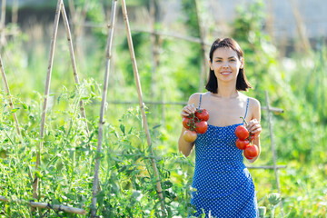 Adult woman in dress posing with harvest of tomatoes in garden