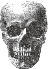 Skull y2k retro stipple art skeleton brutalist halftone vector png transparent, bone 2000s photocopy effect tattoo aesthetic