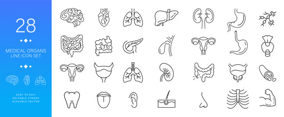 Medical organs line icon set vector illustration featuring modern outline icons for human anatomy, internal organs, and body parts perfect for healthcare, science, and educational designs.