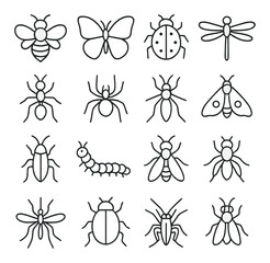 Insect linear icons set: bee, butterfly, ladybug, dragonfly, ant, spider, moth, beetle, caterpillar, fly