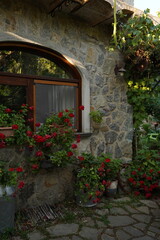 Fototapeta premium old house with flowers