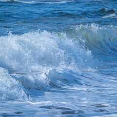 Obraz premium 初夏の松島