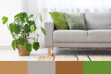 Interior of living room with grey sofa, plant and window. Different color patterns