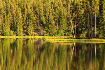 Obraz premium Sprague Lake in the Rocky Mountain National park