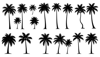 Fototapeta premium Silhouettes of various palm trees