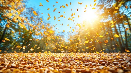 Autumnal Bliss: Golden Leaves Dance in Sunlight