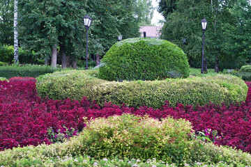 Beautifully landscaped city park with vibrant flower beds, trimmed bushes, and walking paths. Lush greenery and colorful flowers create a peaceful and well-kept urban garden scene.