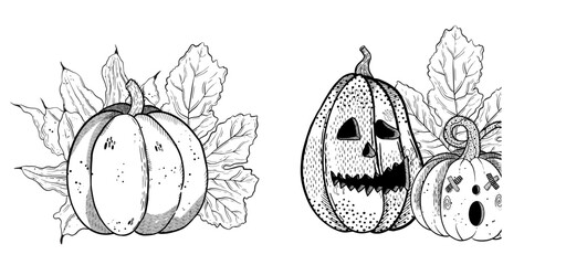 A Beautiful HandDrawn Illustration of a Pumpkin Surrounded by Lush Leaves and Details