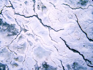 Obraz premium abstract macro background close-up 