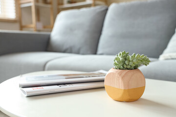 Plant with magazines on table in living room, closeup