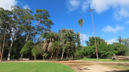 golf course with palm trees