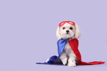 Cute little dog in superhero costume on lilac background