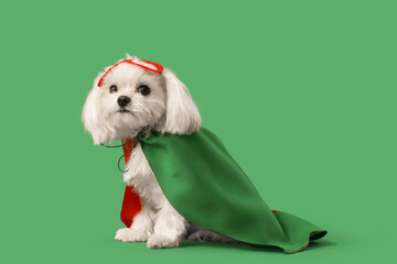 Cute little dog in superhero costume on green background