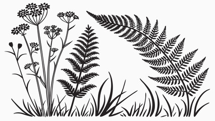 Black and white illustration of ferns, wildflowers, and grass in a botanical arrangement