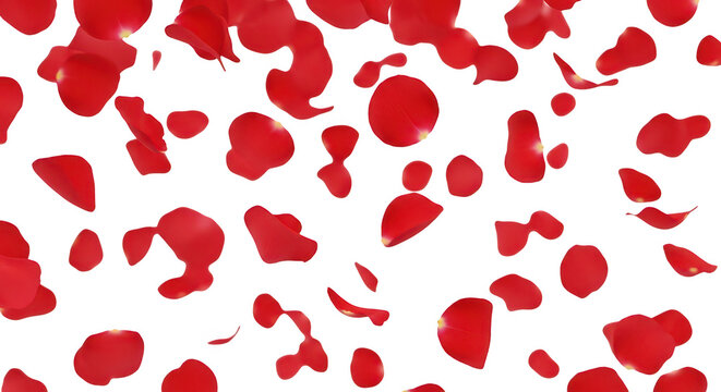 Red Rose Petals Falling On Black - Powered by Adobe