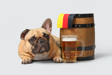 Cute French bulldog with Germany flag, barrel and mug of beer lying on grey background. Octoberfest...