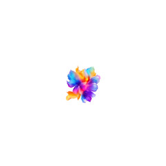 colorful flower isolated on white background