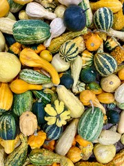 colorful gourds and pumpkins