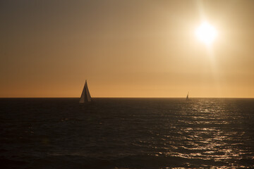 Sailboats and the Pacific ocean at sunset, Venice Beach, California, United States