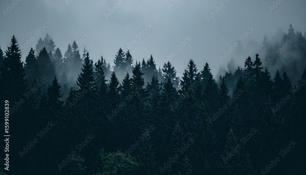 Aufkleber dense dark forest of coniferous trees shrouded in atmospheric mist, creating a mysterious and tranqu