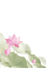 水彩で描いた蓮のはがきテンプレート