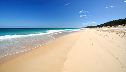 Sunny beach scene with ocean waves