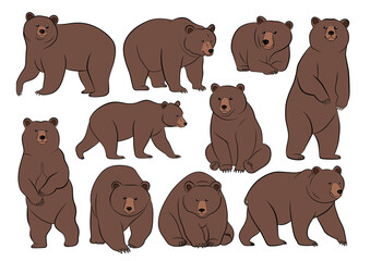 Fototapeta premium クマのイラストセット