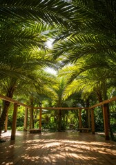 Fototapeta premium Sunlit Tropical Garden Pathway with Lush Palm Trees