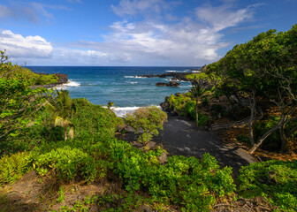 Black Sand Beach and Tropical Palm Trees in Maui, Hawaii on the road to Hana.