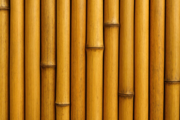 Fototapeta premium Bamboo Stalks Close-up Photo