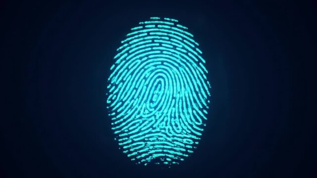 White background fingerprint: a unique biometric symbol for identity, security, and forensic identification