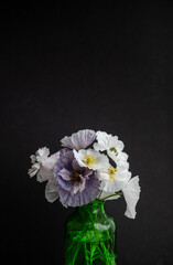 Close up of Various Colors of Shirley Poppy Bouquet
