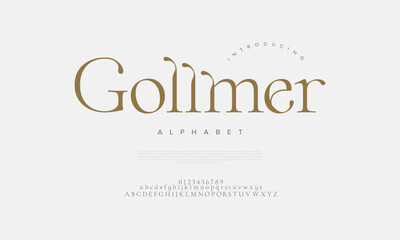 Stylish serif font with modern curves, ideal for branding, editorial, and luxury designs