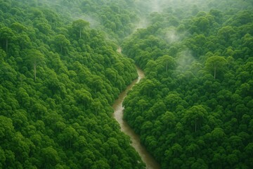 Pristine Amazon rainforest canopy with emerald green foliage and meandering river visible through tropical jungle landscape
