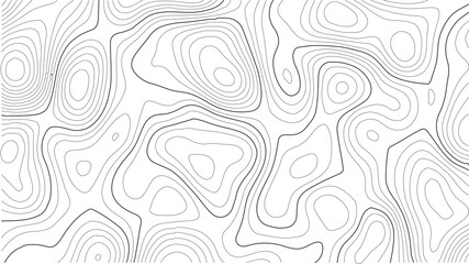 Topography line map featuring abstract terrain contours and smooth elevation grid in white vector style for wilderness prints and nature-themed graphics