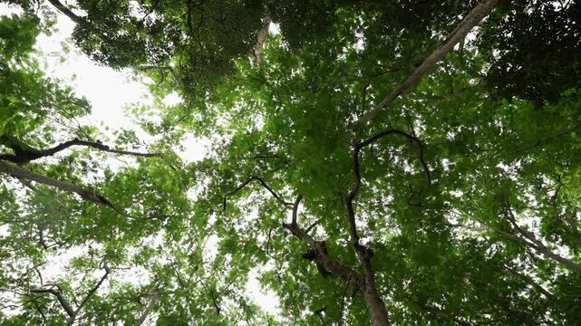 DeeringCoralGables_Sony23_4