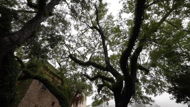 DeeringCoralGables_Sony23_8