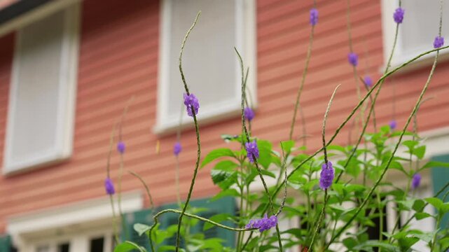 DeeringCoralGables_Sony23_9