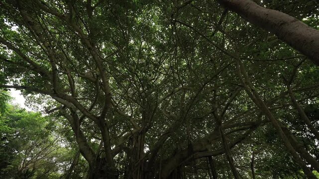 DeeringCoralGables_Sony23_13