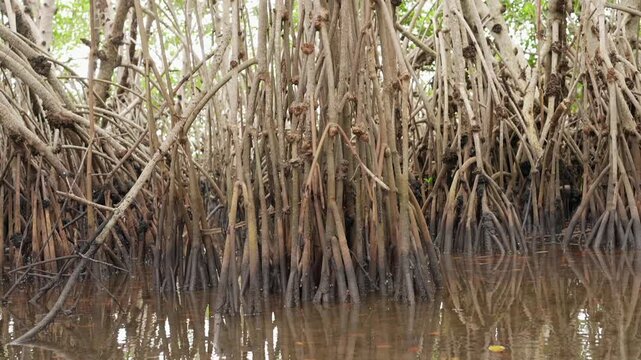 DeeringCoralGables_Sony23_18