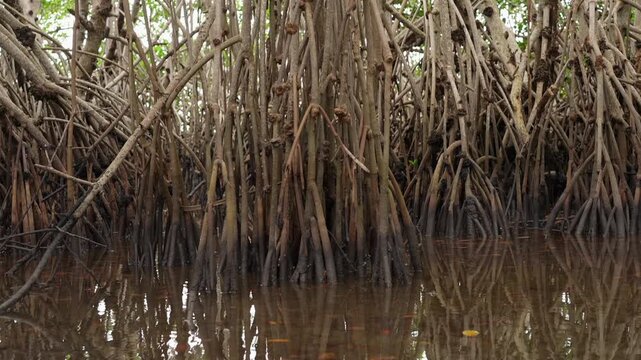 DeeringCoralGables_Sony23_19