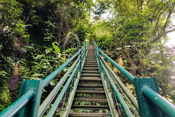Metal stairs leading up between rocky cliffs and lush tropical forest.