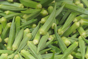 Fresh Ridged Okra Pods Showcasing Nature’s Minimalist Art