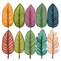 Obraz premium Colorful Leaves Collection in Various Shapes and Designs isolated on transparent background.