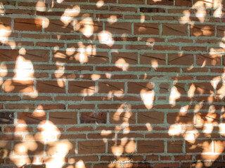 Naklejka premium brick wall with morning sunlight