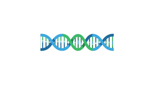 Looping animation of a stylized DNA double helix in blue and green tones, rotating gently on a white background. Ideal for scientific presentations, medical explainers, and biotech visuals.