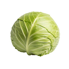 Fresh Green Cabbage Head Close-up.
